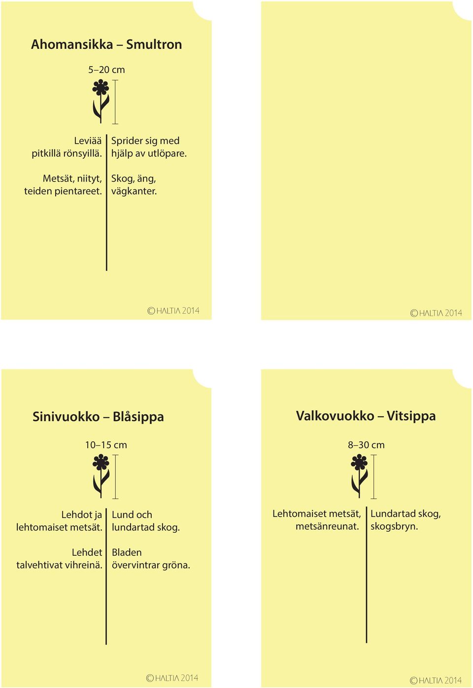 Sinivuokko Blåsippa 10 15 cm Valkovuokko Vitsippa 8 30 cm Lehdot ja lehtomaiset metsät.