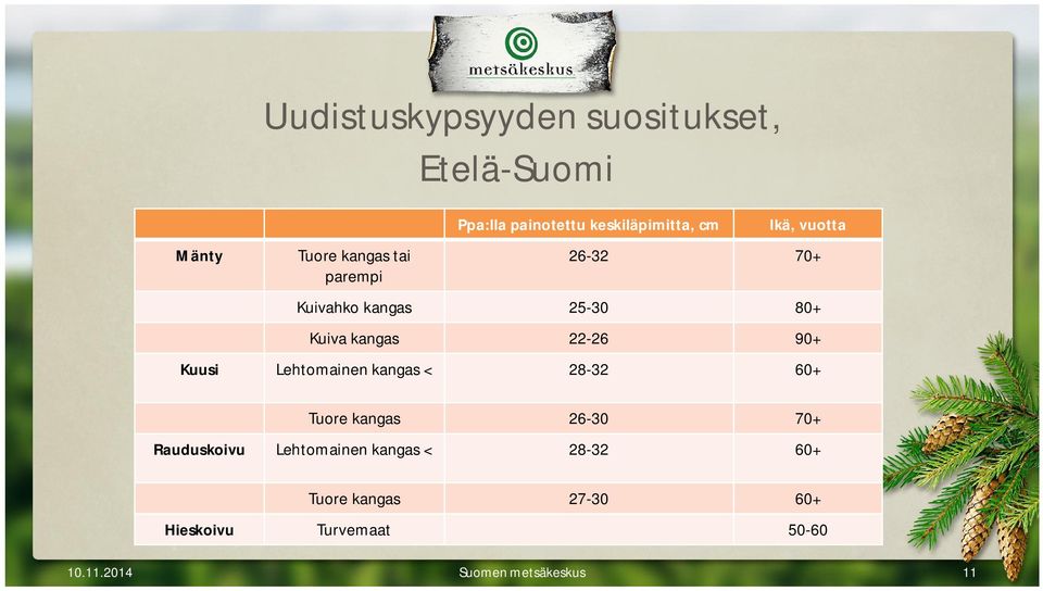 kangas 22-26 90+ Kuusi Lehtomainen kangas < 28-32 60+ Tuore kangas 26-30 70+