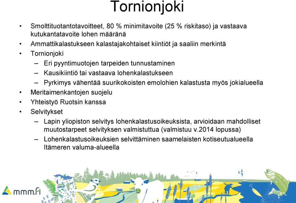 emolohien kalastusta myös jokialueella Meritaimenkantojen suojelu Yhteistyö Ruotsin kanssa Selvitykset Lapin yliopiston selvitys lohenkalastusoikeuksista,