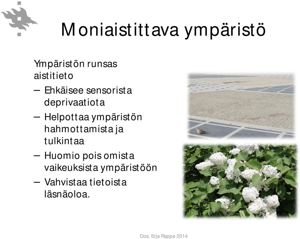 Helpottaa ympäristön hahmottamista ja tulkintaa