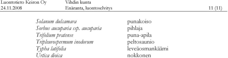 Sorbus aucuparia ssp.
