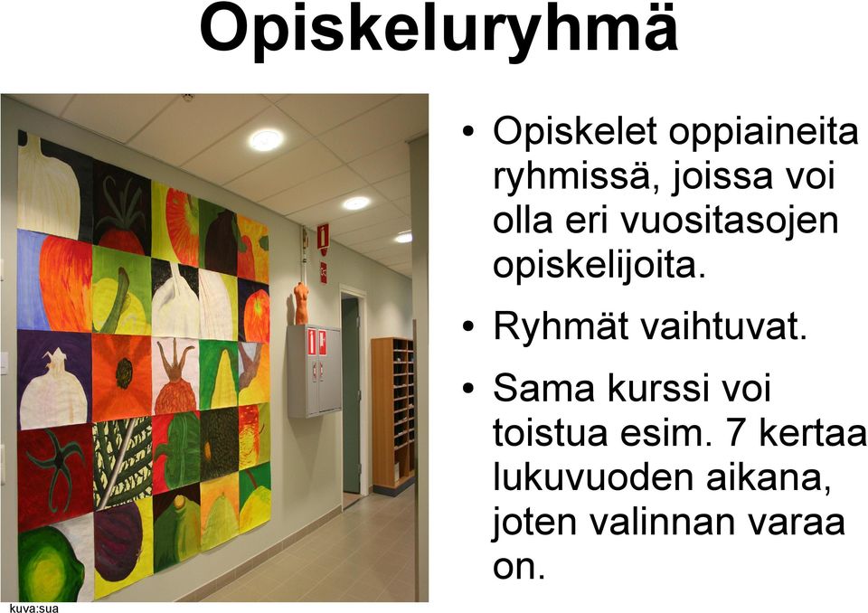 opiskelijoita. Ryhmät vaihtuvat.