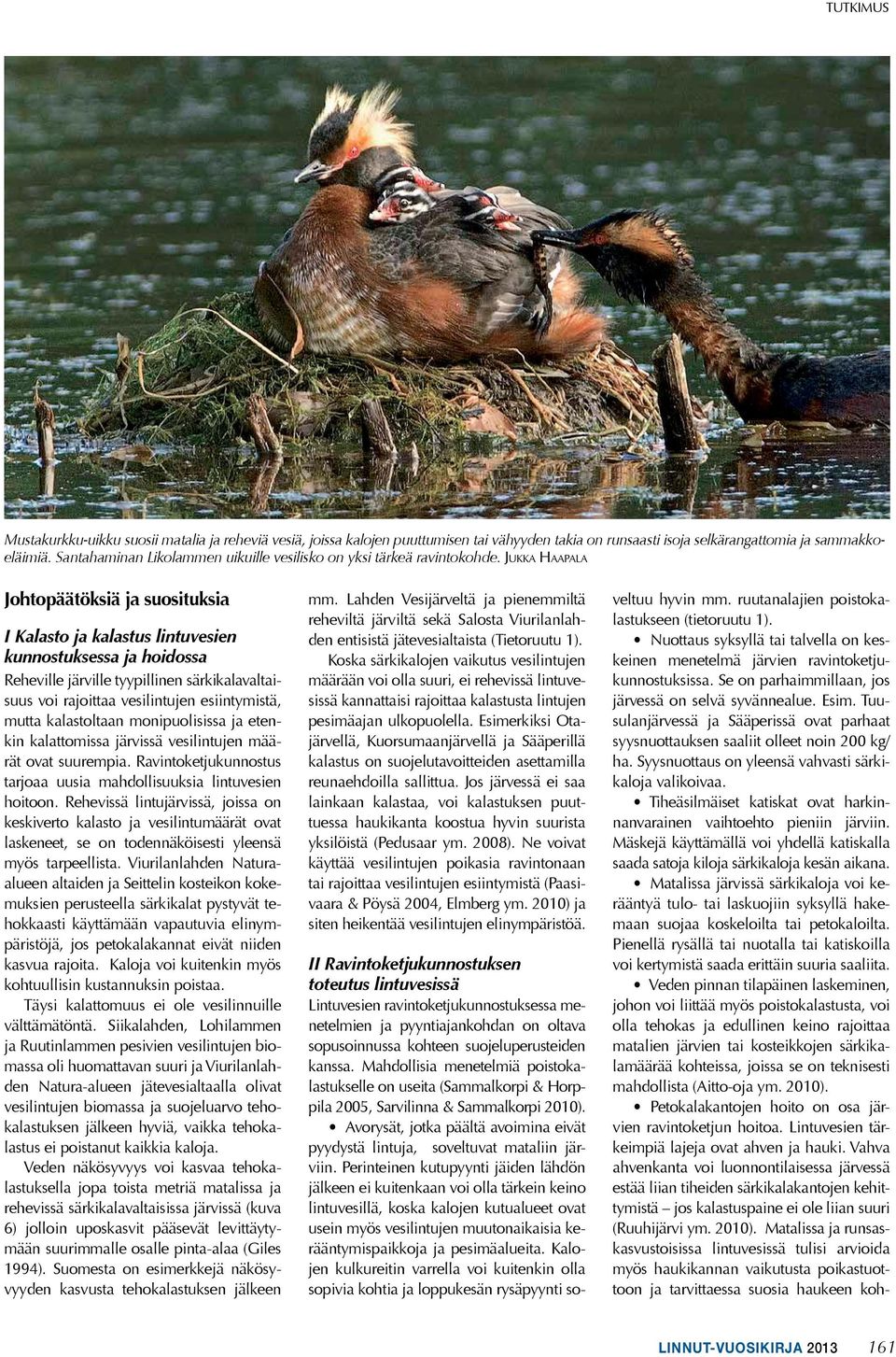 Jukka Haapala Johtopäätöksiä ja suosituksia I Kalasto ja kalastus lintuvesien kunnostuksessa ja hoidossa Reheville järville tyypillinen särkikalavaltaisuus voi rajoittaa vesilintujen esiintymistä,