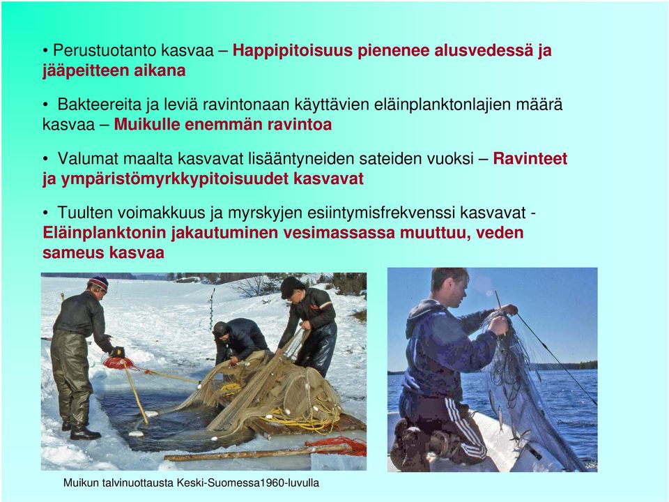 vuoksi Ravinteet ja ympäristömyrkkypitoisuudet kasvavat Tuulten voimakkuus ja myrskyjen esiintymisfrekvenssi kasvavat
