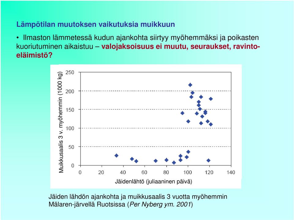 ravintoeläimistö? Muikkusaalis 3 v.