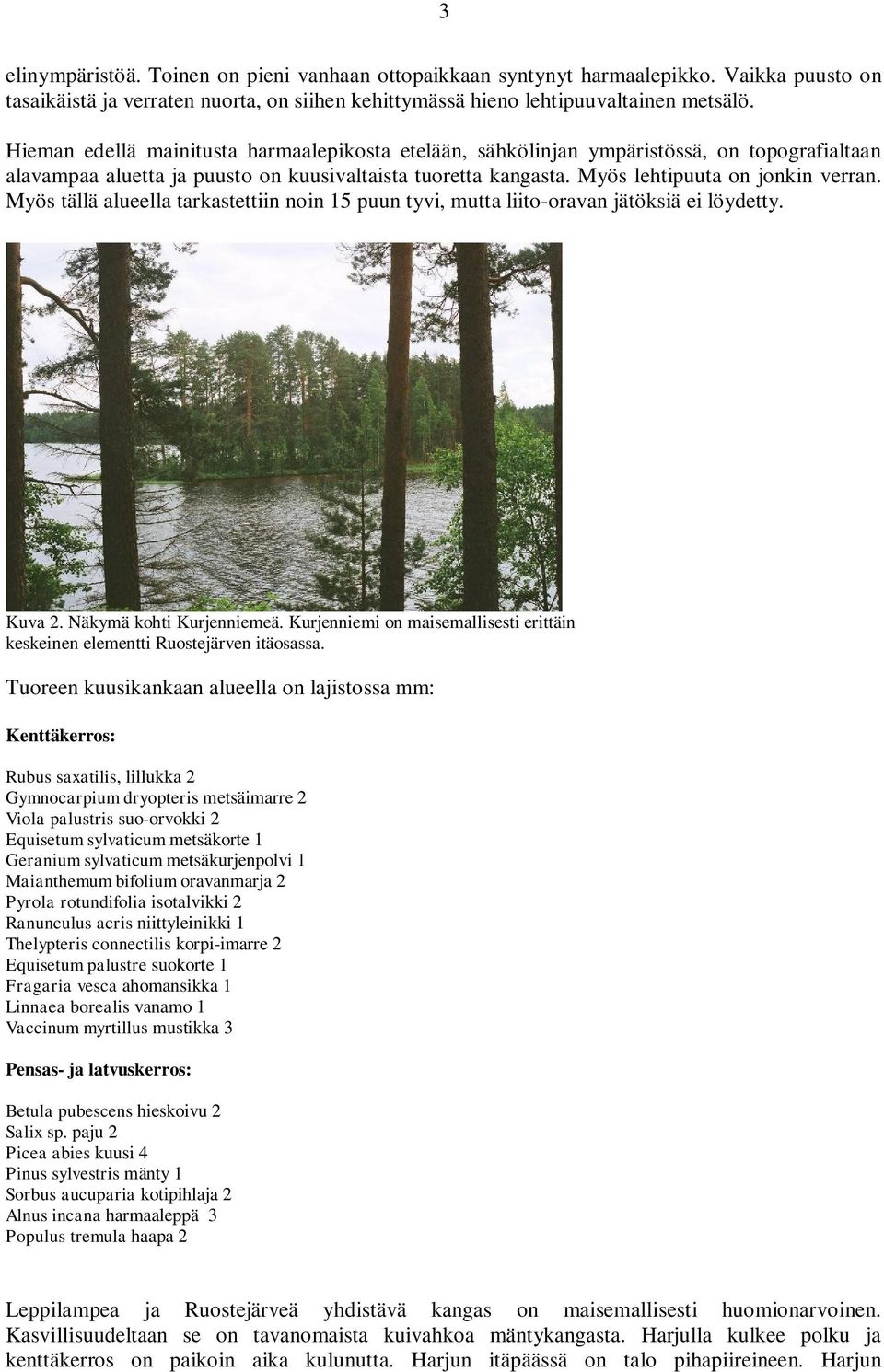 Myös tällä alueella tarkastettiin noin 15 puun tyvi, mutta liito-oravan jätöksiä ei löydetty. Kuva 2. Näkymä kohti Kurjenniemeä.