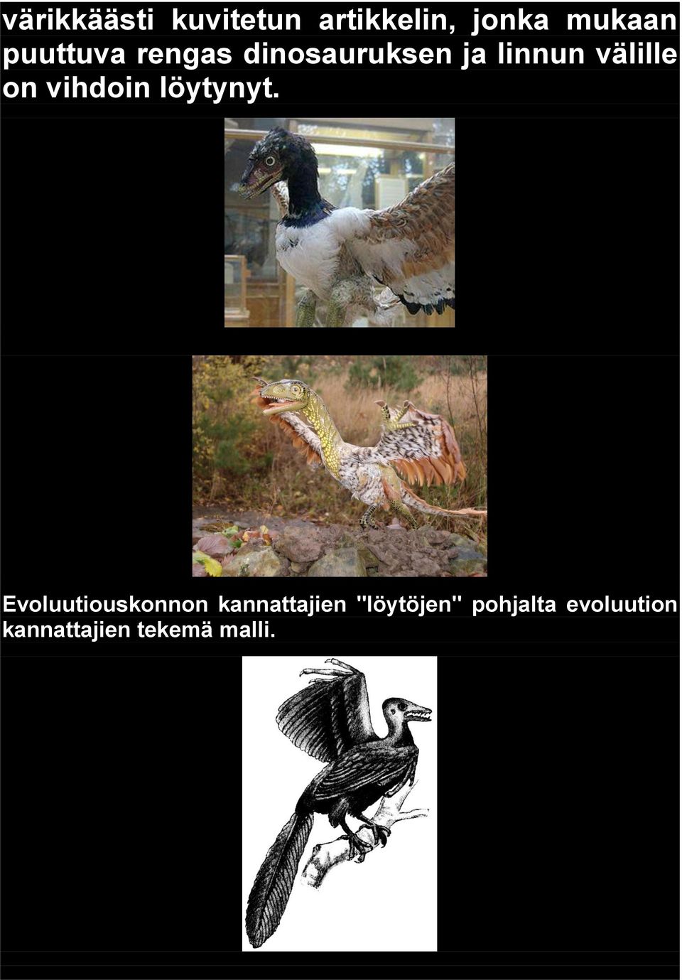 vihdoin löytynyt.