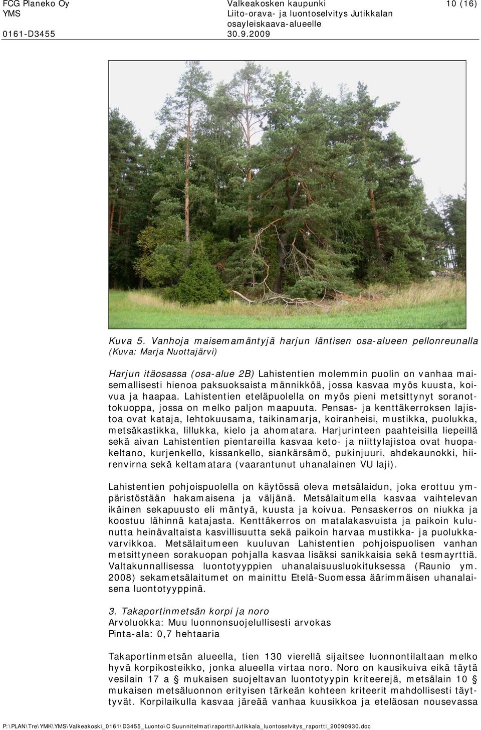 jssa kasvaa myös kuusta, kivua ja haapaa. Lahistentien eteläpulella n myös pieni metsittynyt sranttkuppa, jssa n melk paljn maapuuta.