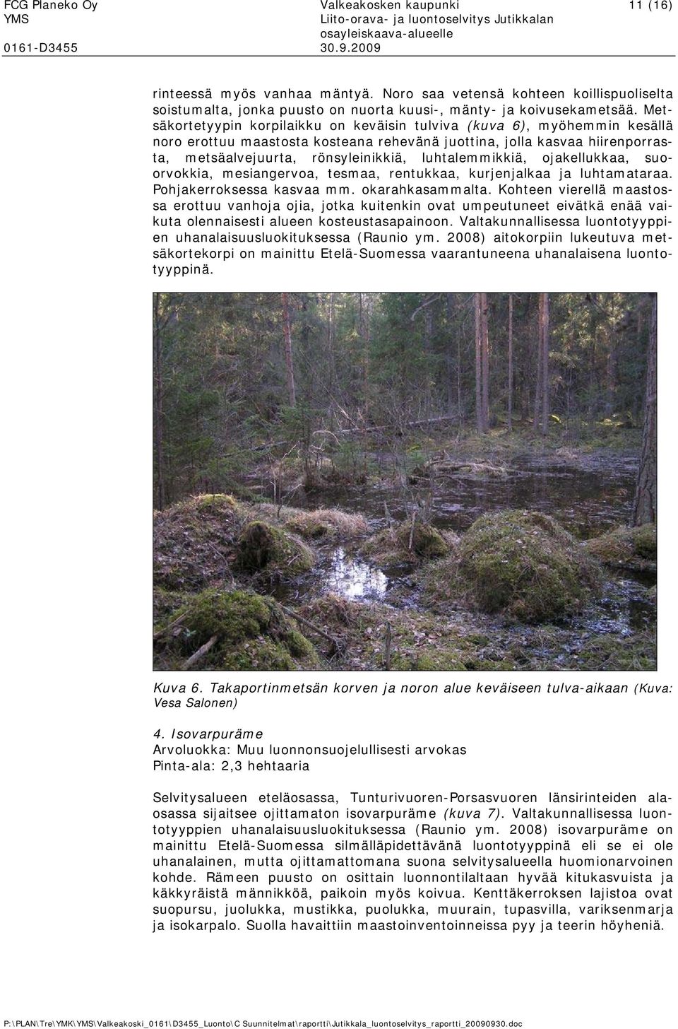 jakellukkaa, survkkia, mesiangerva, tesmaa, rentukkaa, kurjenjalkaa ja luhtamataraa. Phjakerrksessa kasvaa mm. karahkasammalta.