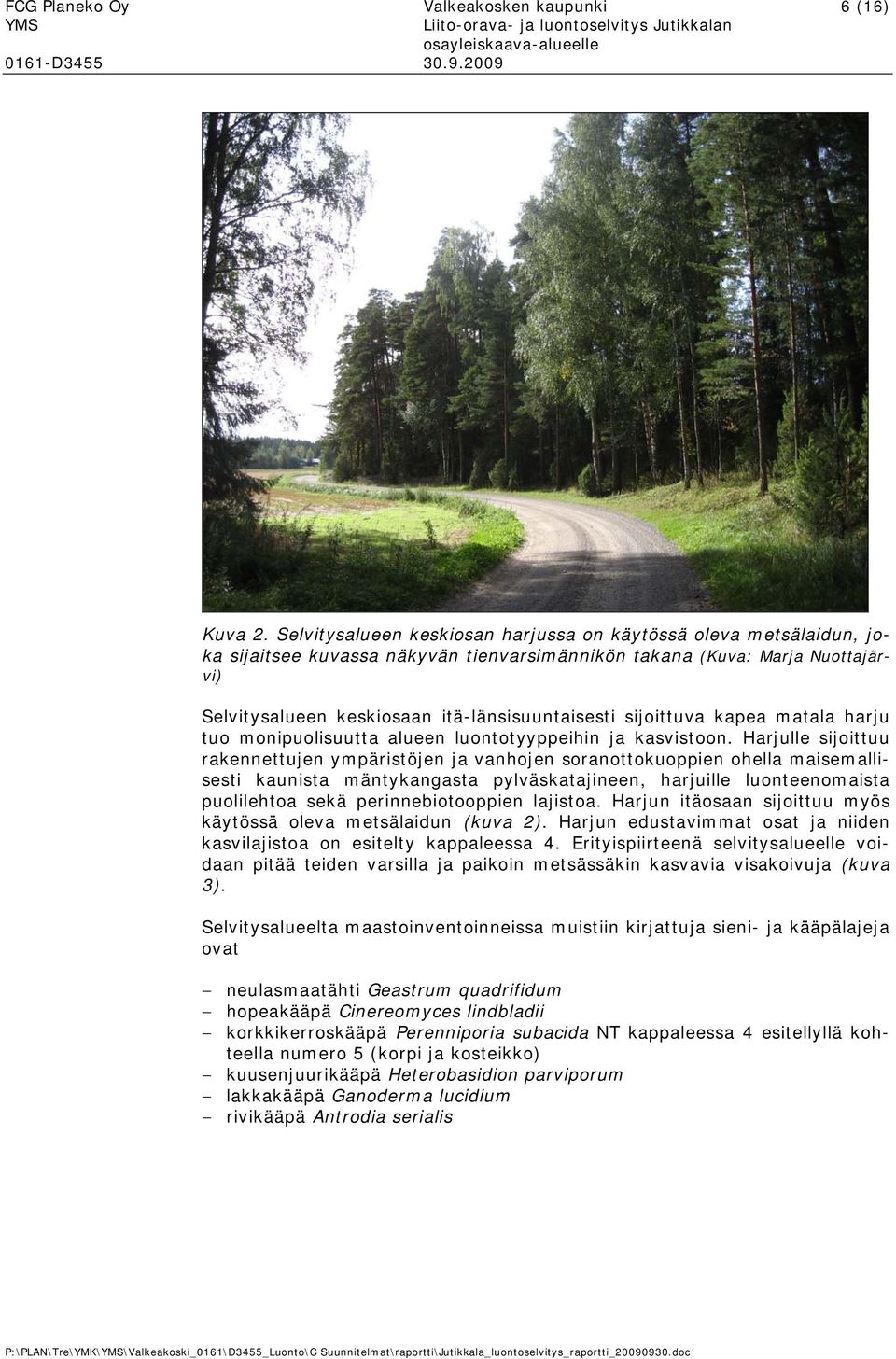 kapea matala harju tu mnipulisuutta alueen lunttyyppeihin ja kasvistn.