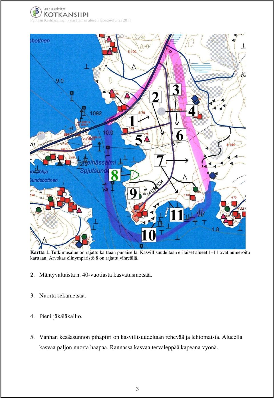 Arvokas elinympäristö 8 on rajattu vihreällä. 2. Mäntyvaltaista n. 40-vuotiasta kasvatusmetsää. 3.