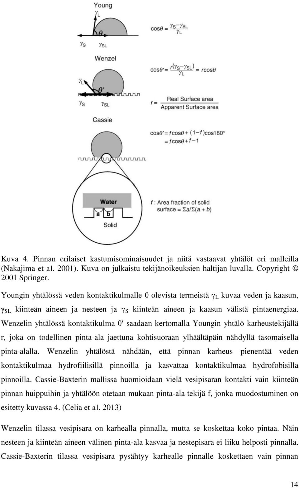Wenzelin yhtälössä kontaktikulma θʹ saadaan kertomalla Youngin yhtälö karheustekijällä r, joka on todellinen pinta-ala jaettuna kohtisuoraan ylhäältäpäin nähdyllä tasomaisella pinta-alalla.