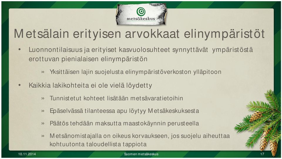Tunnistetut kohteet lisätään metsävaratietoihin» Epäselvässä tilanteessa apu löytyy Metsäkeskuksesta» Päätös tehdään maksutta