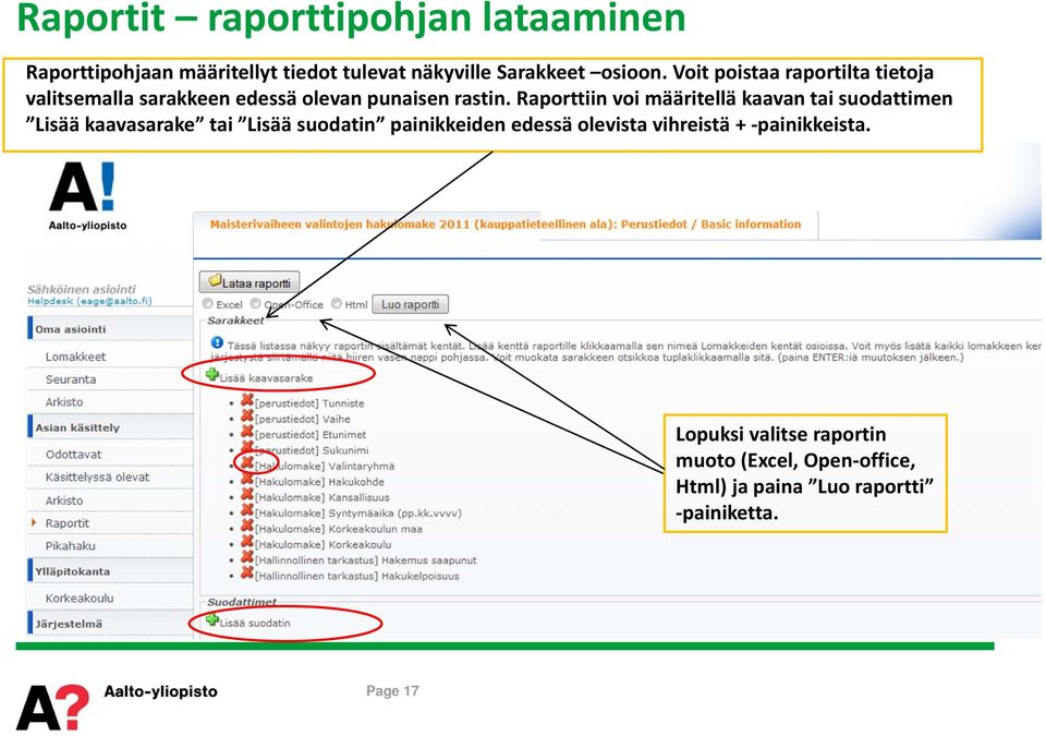 Raporttiin voi määritellä kaavan tai suodattimen Lisää kaavasarake tai Lisää suodatin painikkeiden edessä