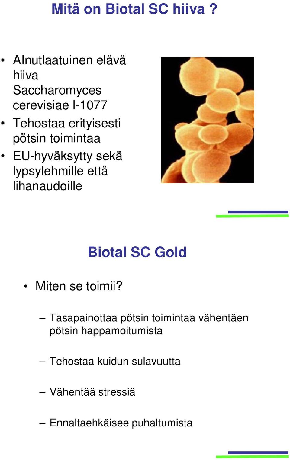 pötsin toimintaa EU-hyväksytty sekä lypsylehmille että lihanaudoille Biotal SC Gold