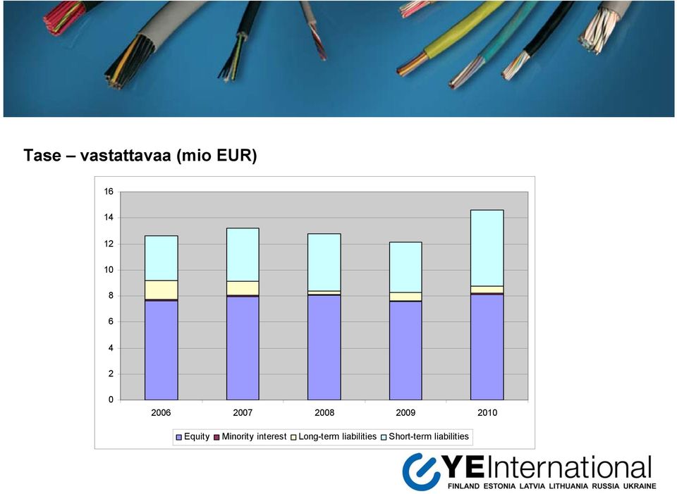 2010 Equity Minority interest