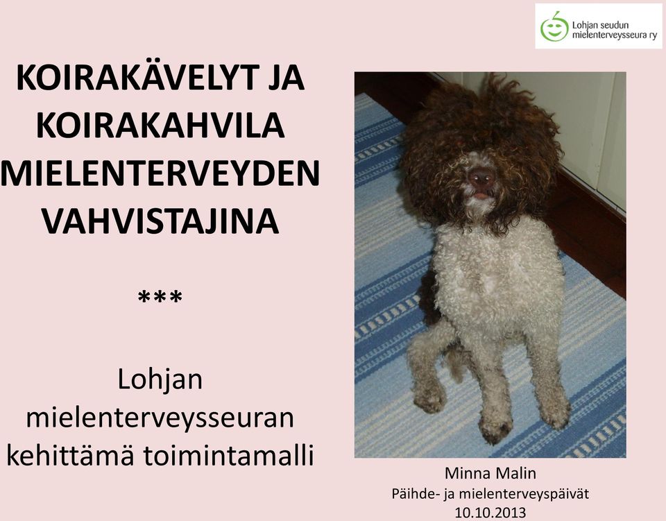 mielenterveysseuran kehittämä