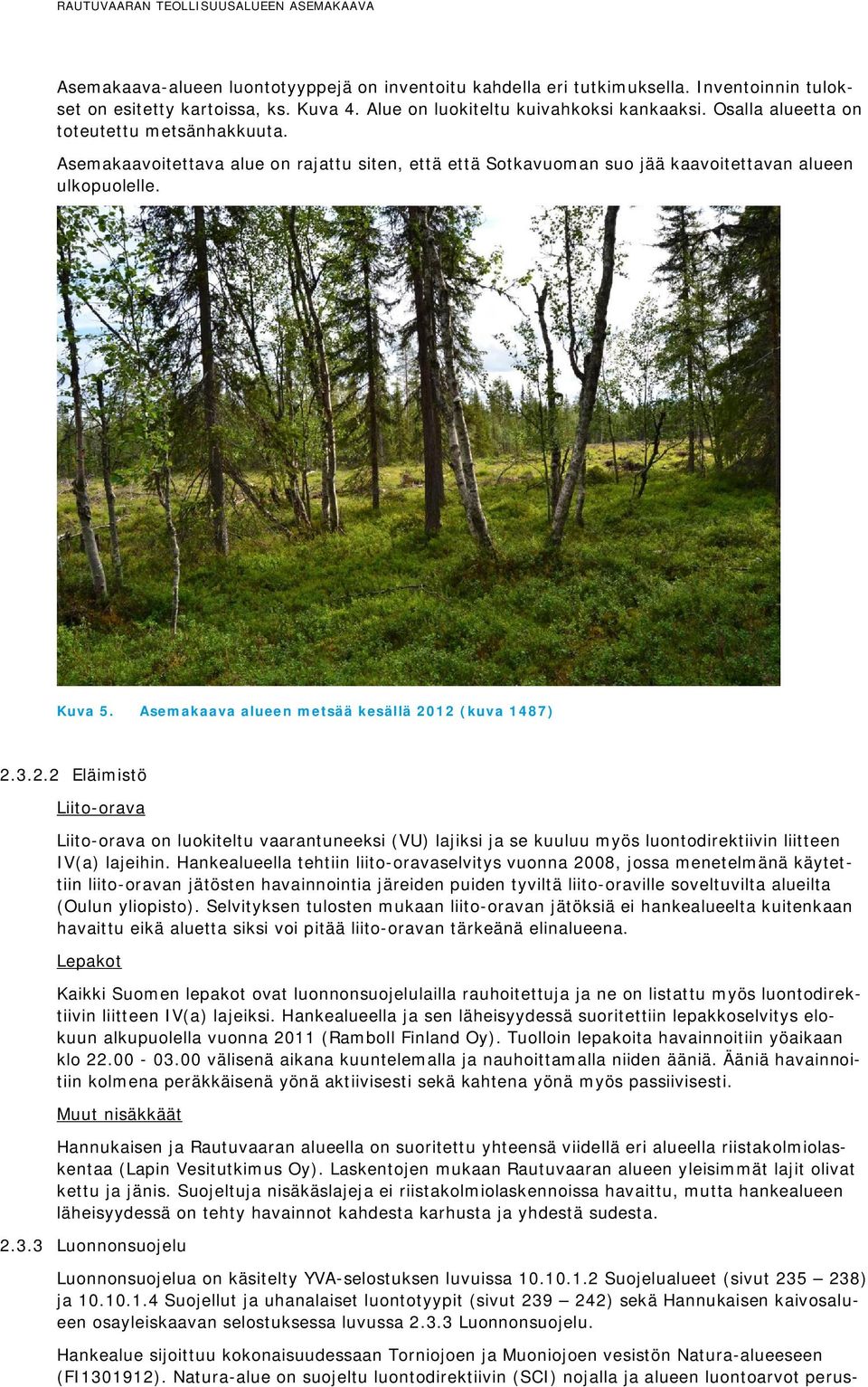 Asemakaava alueen metsää kesällä 2012 (kuva 1487) 2.3.2.2 Eläimistö Liito-orava Liito-orava on luokiteltu vaarantuneeksi (VU) lajiksi ja se kuuluu myös luontodirektiivin liitteen IV(a) lajeihin.