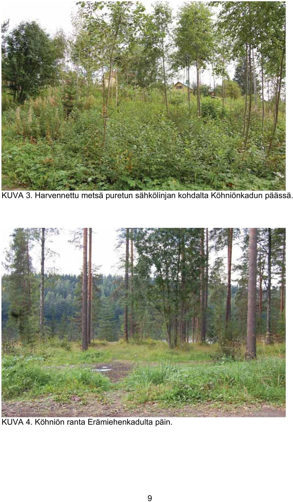 sähkölinjan kohdalta