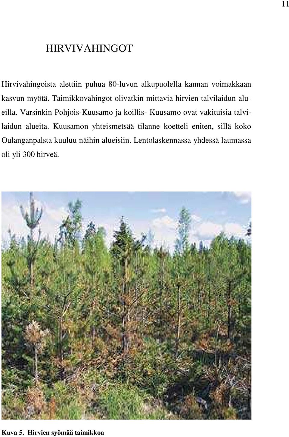 Varsinkin Pohjois-Kuusamo ja koillis- Kuusamo ovat vakituisia talvilaidun alueita.