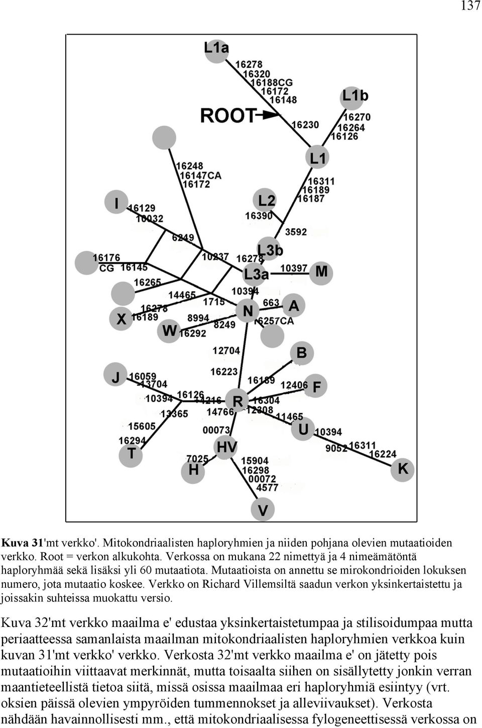 Verkko on Richard Villemsiltä saadun verkon yksinkertaistettu ja joissakin suhteissa muokattu versio.