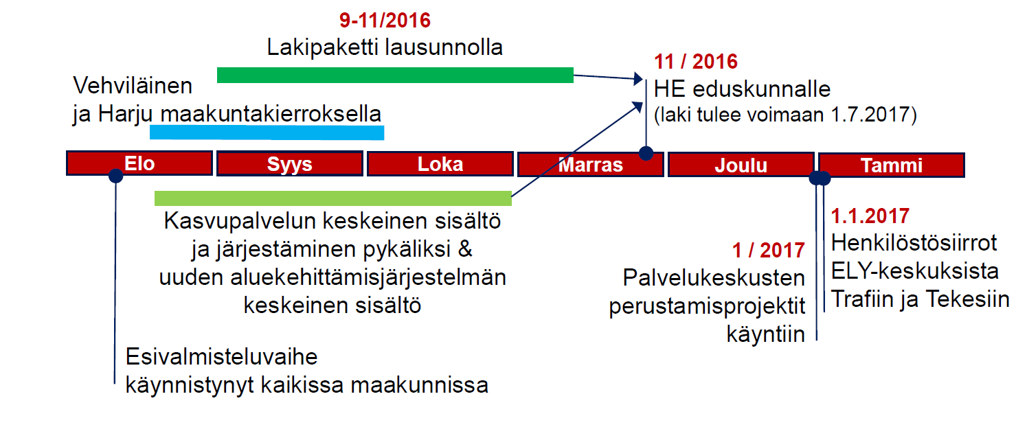 Loppuvuoden steppejä www.