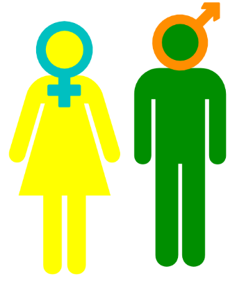 Geneettiseen sukupuoleen vaikuttavat vanhemmilta periytyneet kromosomit.
