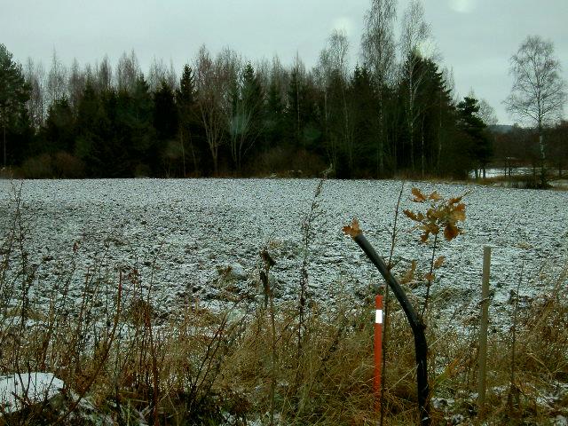 Tässäkin tapauksessa uudet rakennuspaikat on osoitettu peltoalueelle eikä niillä ole merkitystä liito-oravia ajatellen. Kuvat 3 ja 4.