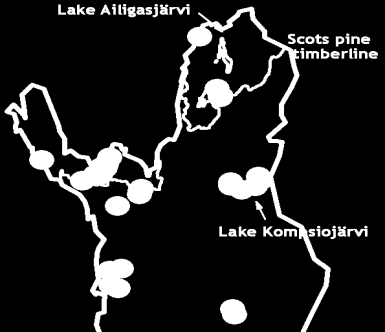 The 1911-yr chronology was built from 400 subfossil logs collected from 33 lakes.