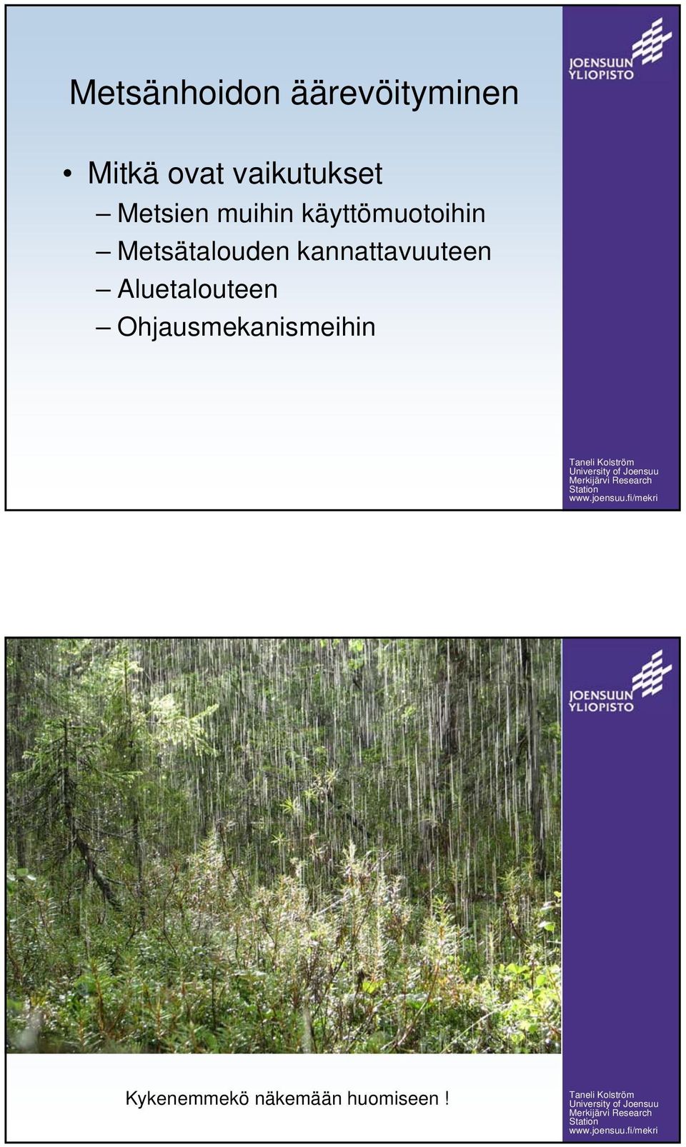 Metsätalouden kannattavuuteen Aluetalouteen
