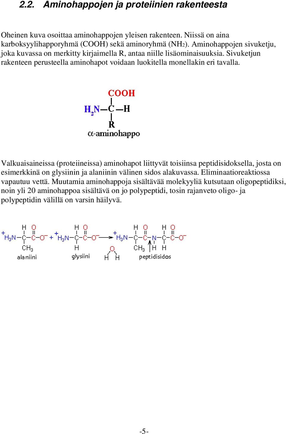 Valkuaisaineissa (proteiineissa) aminohapot liittyvät toisiinsa peptidisidoksella, josta on esimerkkinä on glysiinin ja alaniinin välinen sidos alakuvassa.