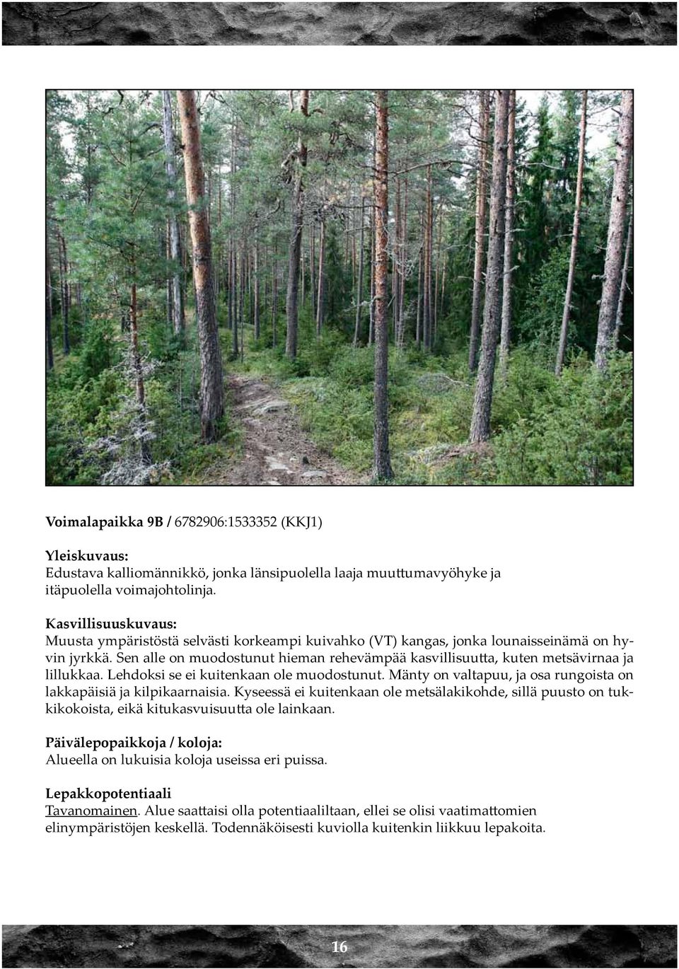 Sen alle on muodostunut hieman rehevämpää kasvillisuutta, kuten metsävirnaa ja lillukkaa. Lehdoksi se ei kuitenkaan ole muodostunut.