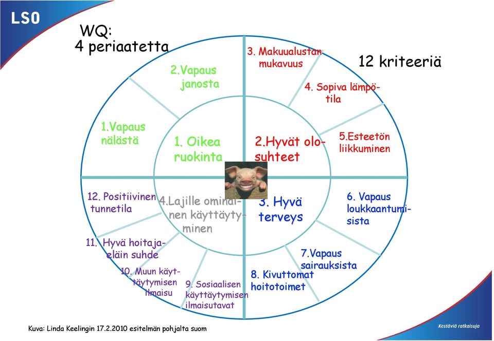 Hyvä hoitajaeläin suhde 10. Muun käyttäytymisen ilmaisu 9. Sosiaalisen käyttäytymisen ilmaisutavat 3. Hyvä terveys 7.