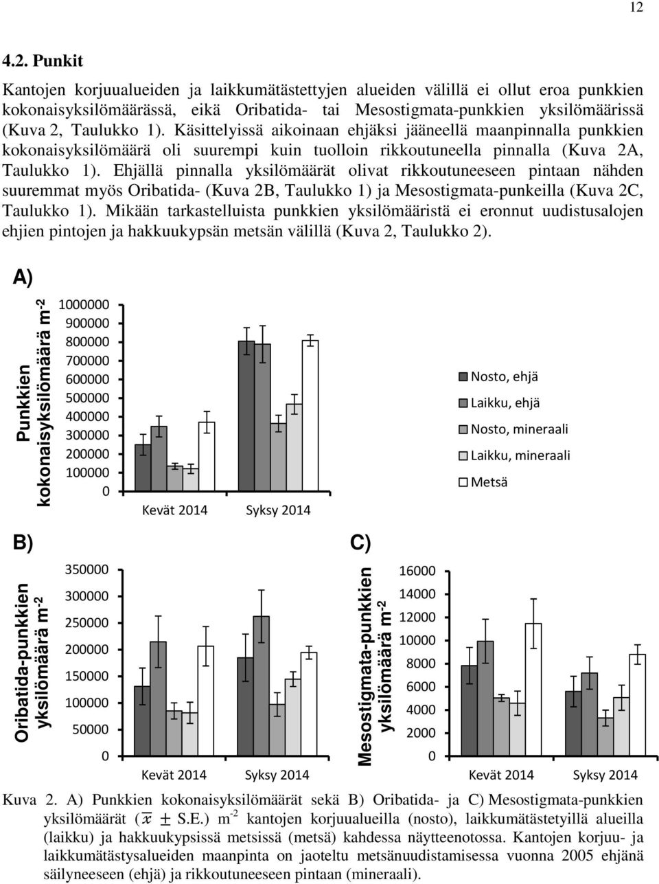 Ehjällä pinnalla yksilömäärät olivat rikkoutuneeseen pintaan nähden suuremmat myös Oribatida- (Kuva 2B, Taulukko 1) ja Mesostigmata-punkeilla (Kuva 2C, Taulukko 1).