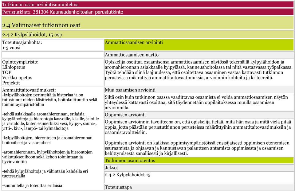 Valinnaiset tutkinnon osat 2.4.