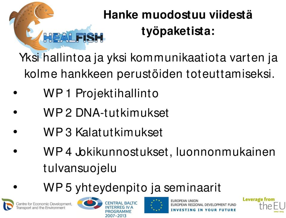 WP 1 Projektihallinto WP 2 DNA-tutkimukset WP 3 Kalatutkimukset WP 4