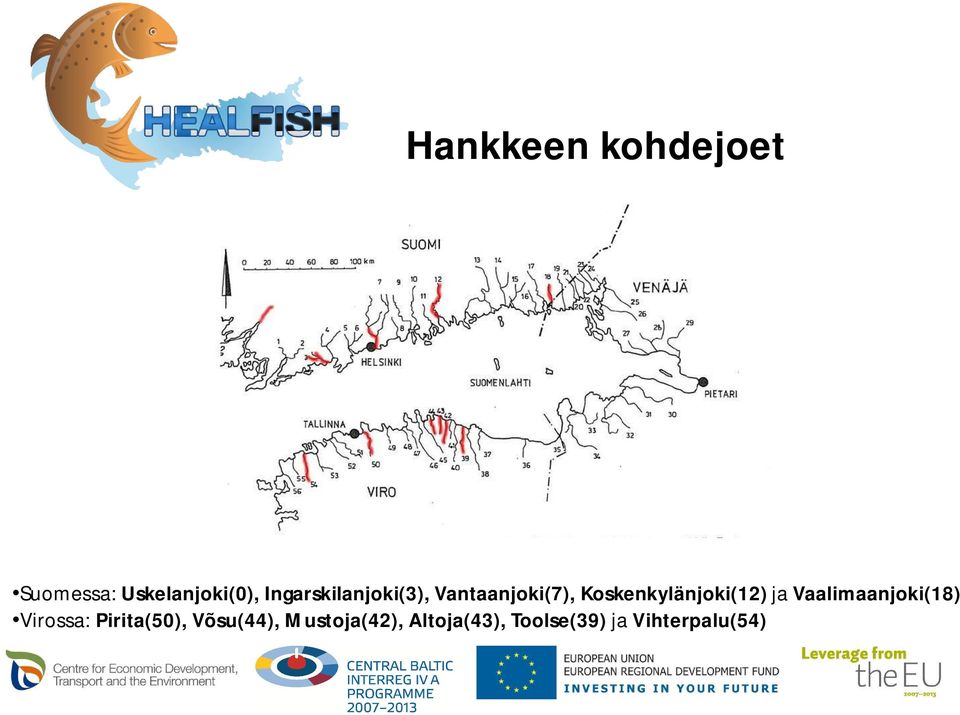 Koskenkylänjoki(12) ja Vaalimaanjoki(18) Virossa: