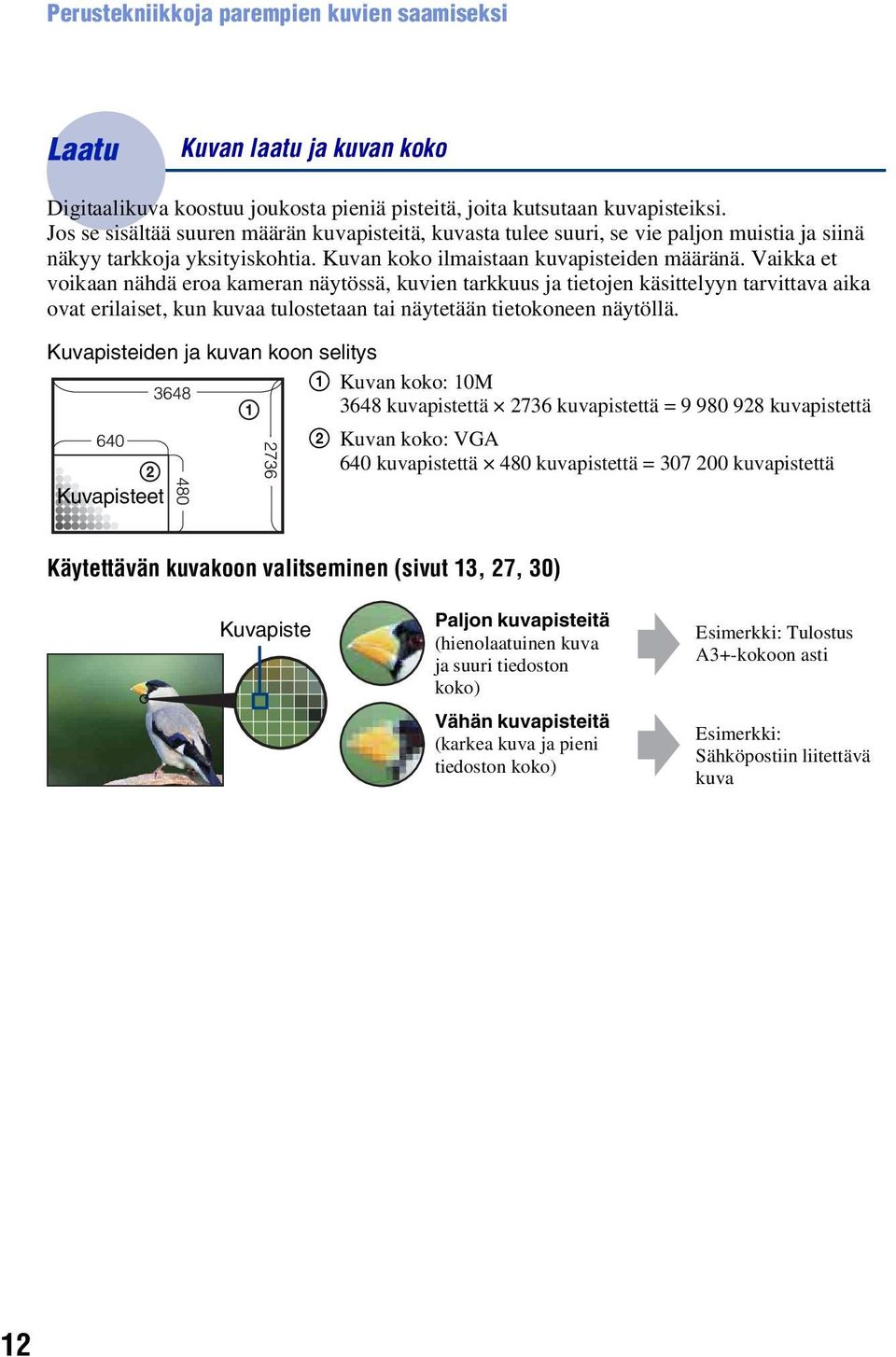 Vaikka et voikaan nähdä eroa kameran näytössä, kuvien tarkkuus ja tietojen käsittelyyn tarvittava aika ovat erilaiset, kun kuvaa tulostetaan tai näytetään tietokoneen näytöllä.