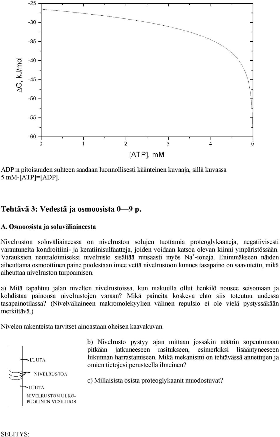 olevan kiinni ympäristössään. Varauksien neutraloimiseksi nivelrusto sisältää runsaasti myös Na + -ioneja.