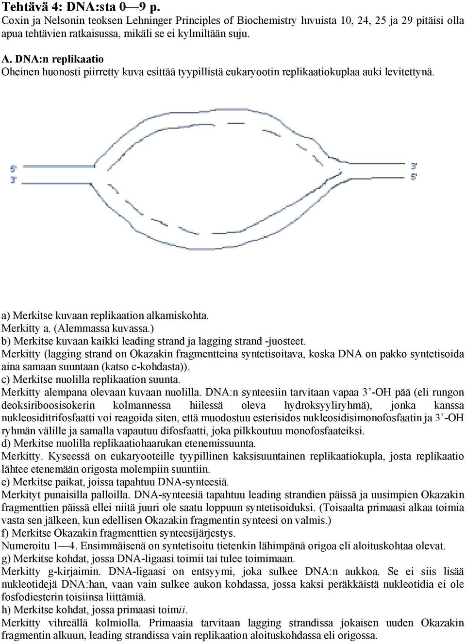 ) b) Merkitse kuvaan kaikki leadin strand ja lain strand -juosteet.