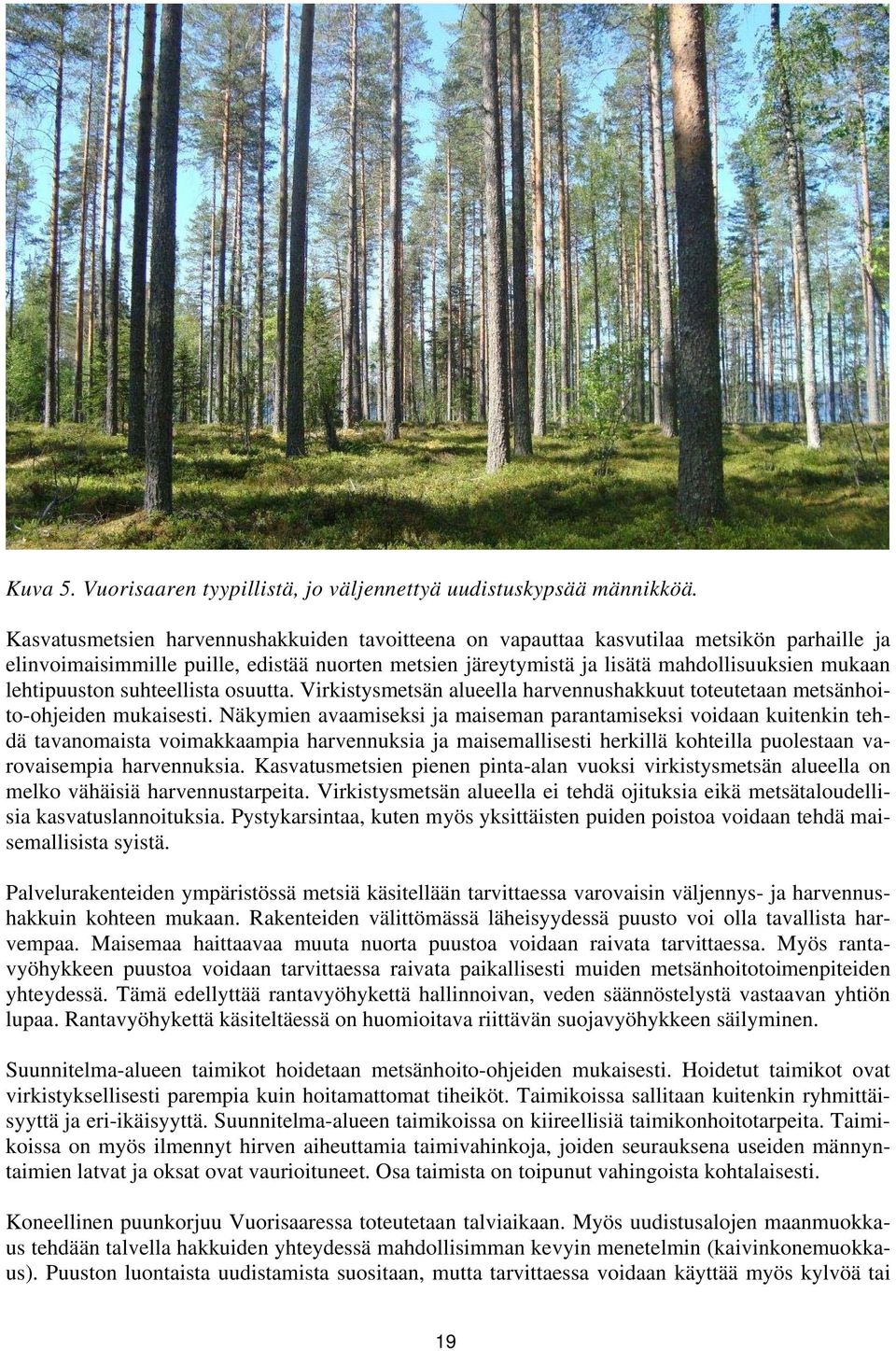 lehtipuuston suhteellista osuutta. Virkistysmetsän alueella harvennushakkuut toteutetaan metsänhoito-ohjeiden mukaisesti.