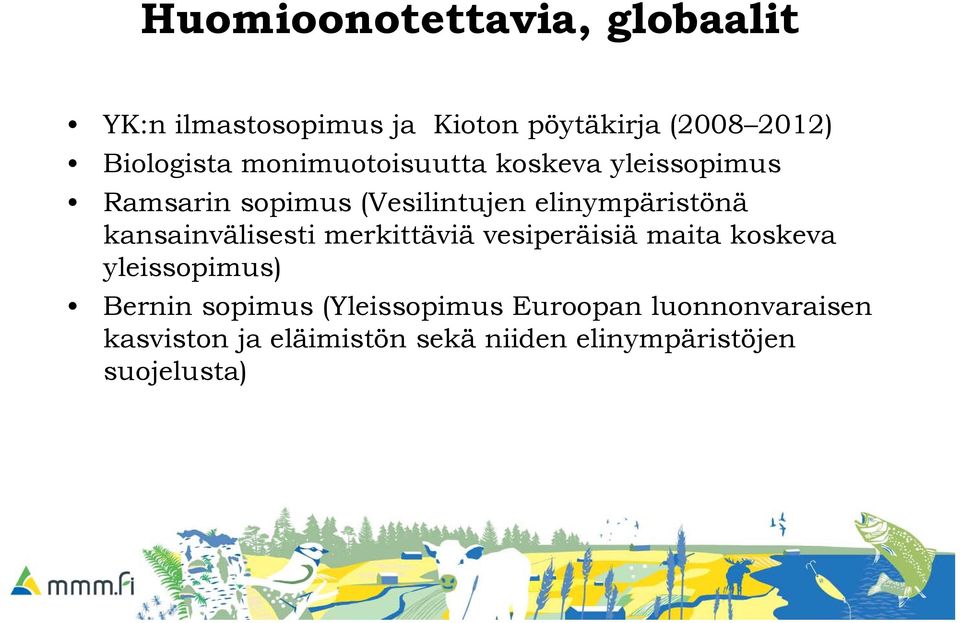 elinympäristönä kansainvälisesti merkittäviä vesiperäisiä maita koskeva yleissopimus)