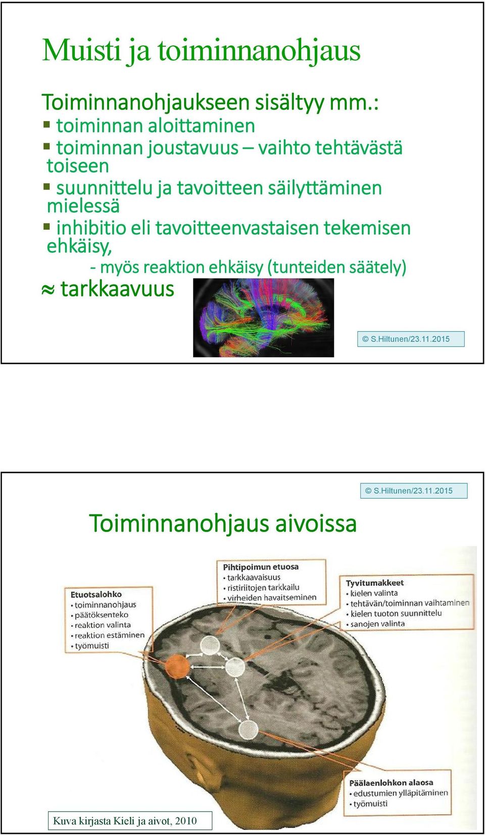 tavoitteen säilyttäminen mielessä inhibitio eli tavoitteenvastaisen tekemisen ehkäisy,