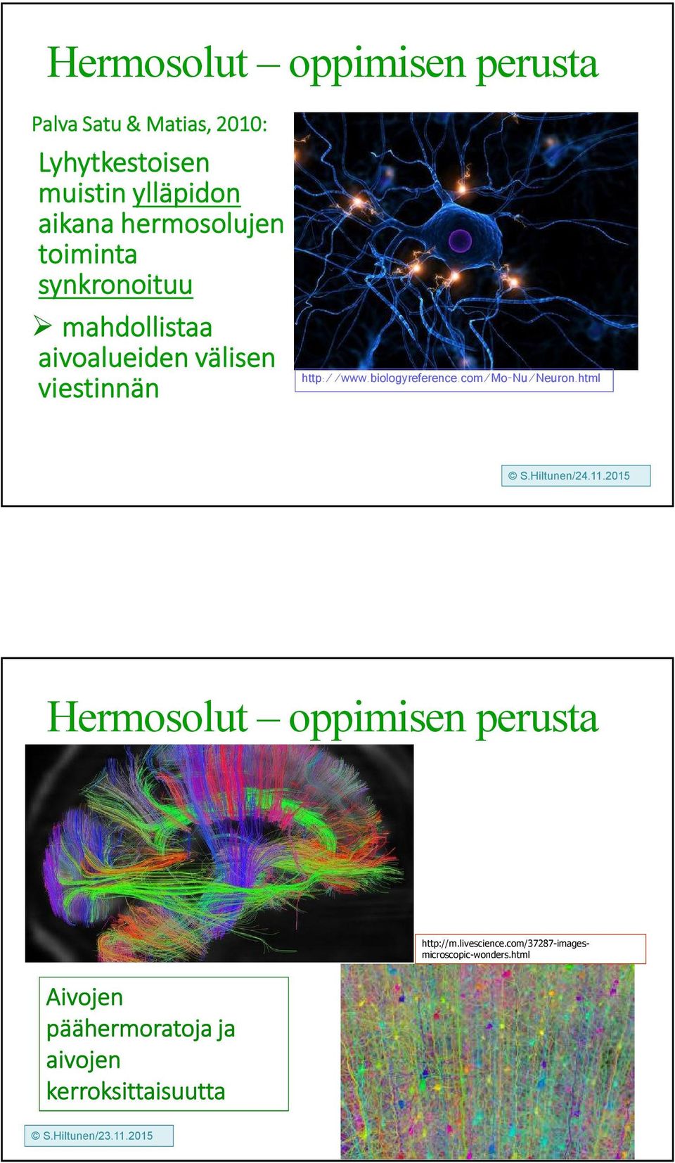 http://www.biologyreference.com/mo-nu/neuron.