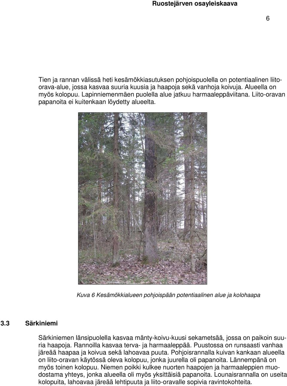 3 Särkiniemi Särkiniemen länsipuolella kasvaa mänty-koivu-kuusi sekametsää, jossa on paikoin suuria haapoja. Rannoilla kasvaa terva- ja harmaaleppää.