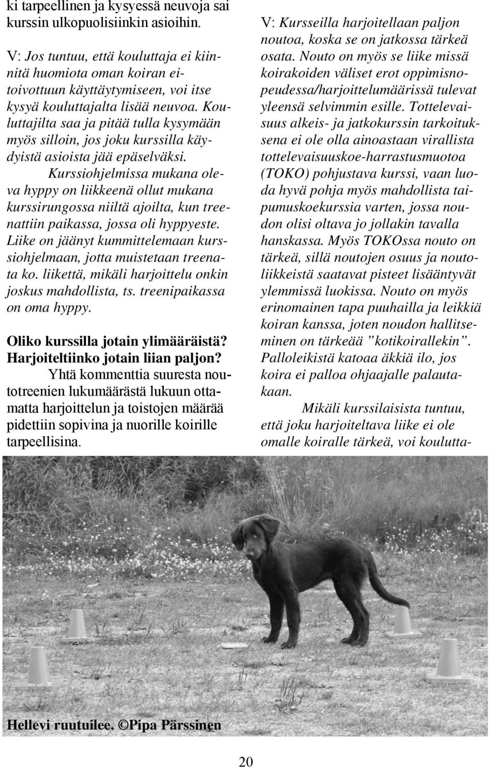 Kouluttajilta saa ja pitää tulla kysymään myös silloin, jos joku kurssilla käydyistä asioista jää epäselväksi.