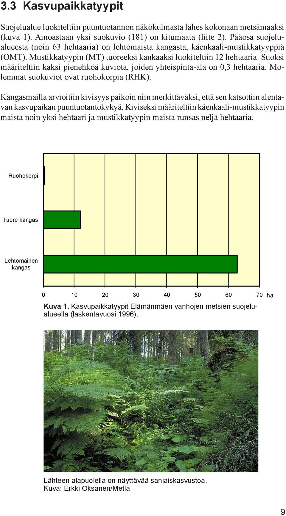 Suoksi määriteltiin kaksi pienehköä kuviota, joiden yhteispinta-ala on 0,3 hehtaaria. Molemmat suokuviot ovat ruohokorpia (RHK).