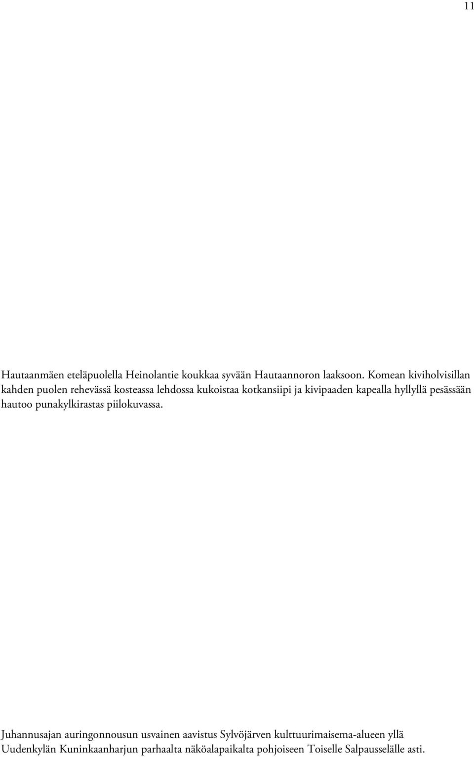 kapealla hyllyllä pesässään hautoo punakylkirastas piilokuvassa.