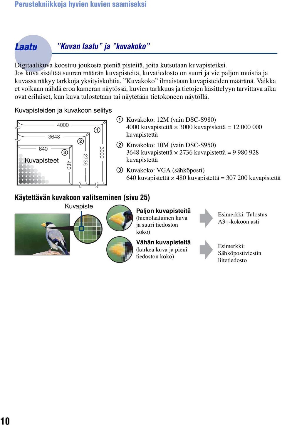 Vaikka et voikaan nähdä eroa kameran näytössä, kuvien tarkkuus ja tietojen käsittelyyn tarvittava aika ovat erilaiset, kun kuva tulostetaan tai näytetään tietokoneen näytöllä.