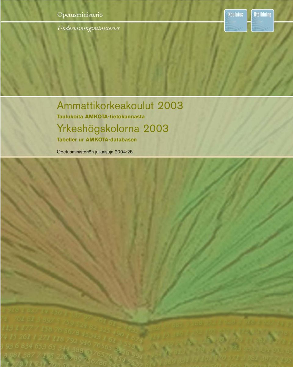 AMKOTA-tietokannasta Yrkeshögskolorna 2003
